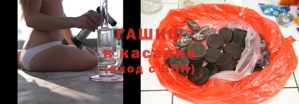 крисы Козельск