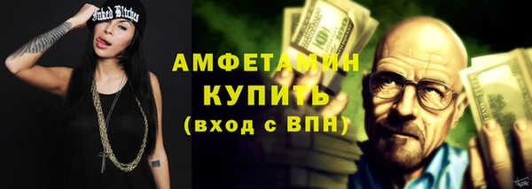 крисы Козельск