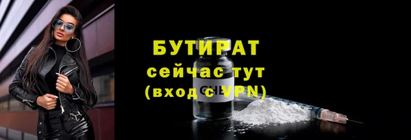 крисы Козельск