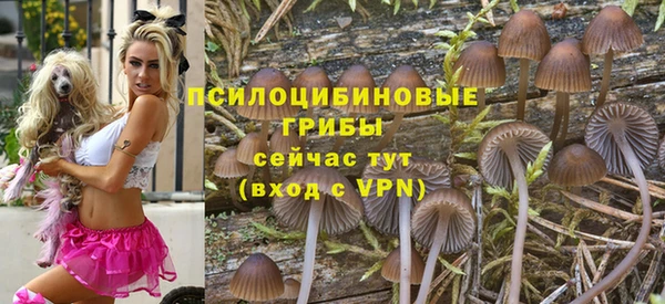 ПСИЛОЦИБИНОВЫЕ ГРИБЫ Козловка