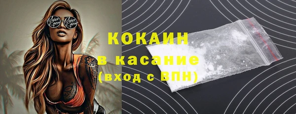 крисы Козельск