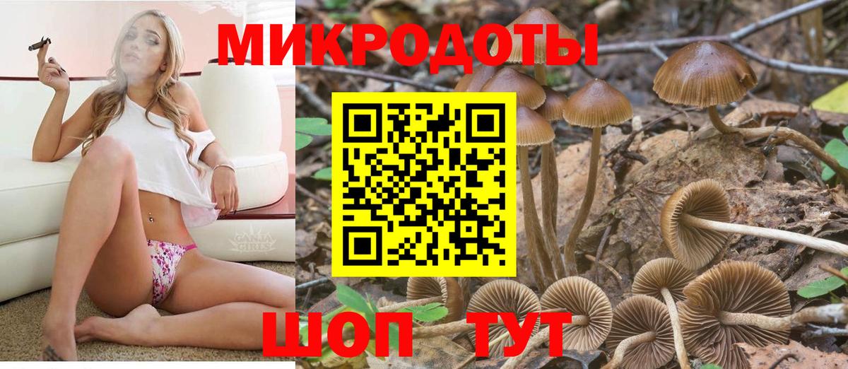 Карпинск  Псилоцибиновые грибы MAGIC MUSHROOMS  Вход с VPN 