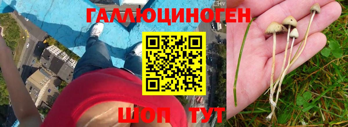 Галлюциногенные грибы мицелий Карпинск