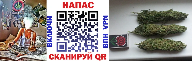 Бошки марихуана Amnesia  наркотики  Карпинск 